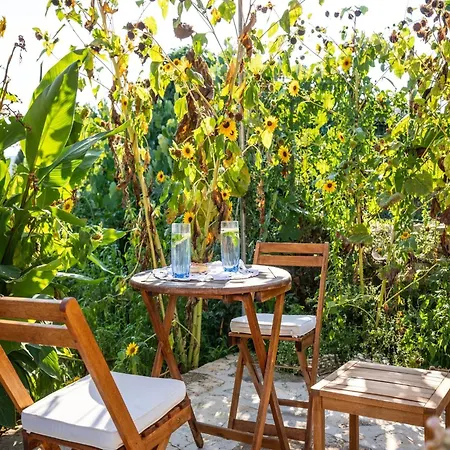 Stone House Harmony -studio With Patio And Garden View 2 Zrnovo