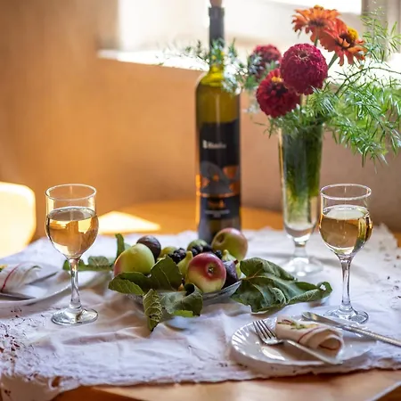 Daire Stone House Harmony -studio With Patio And Garden View 2 Zrnovo