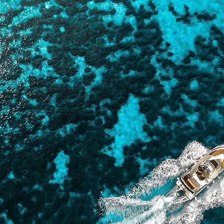 Daire Stone House Harmony -studio With Patio And Garden View 2 Zrnovo