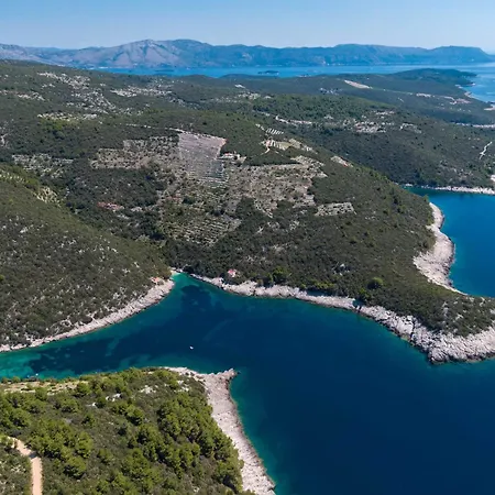 Stone House Harmony -studio With Patio And Garden View 2 Daire Zrnovo